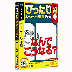 JAN 4510189923206 SOURCENEXT ぴったり ホームページ印刷 Pro パソコン・周辺機器 画像