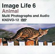 JAN 4511213700657 イメージライフ 6 ～動物の世界 CD・DVD 画像