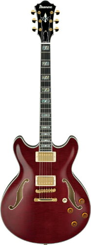 JAN 4515276623557 Ibanez EKM100 Eric Krasno Signature Model 星野楽器株式会社 楽器・音響機器 画像