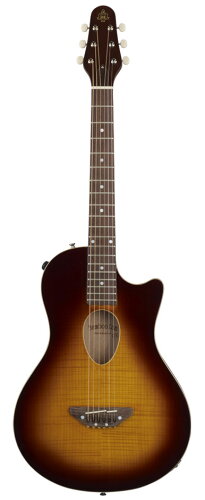JAN 4515303104318 ESP BambooInn-CE TBSCharプロデュース・ギターピエゾピックアップを内蔵 株式会社イー・エス・ピー 楽器・音響機器 画像
