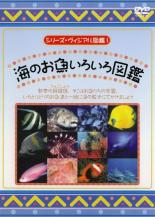 JAN 4519917003135 レンタルアップDVD 海のお魚大集合!海のお魚いろいろ図鑑 エンドレス株式会社 CD・DVD 画像