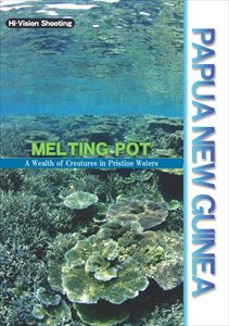 JAN 4519917007089 パプアニューギニア MELTING POD DVD エンドレス株式会社 CD・DVD 画像