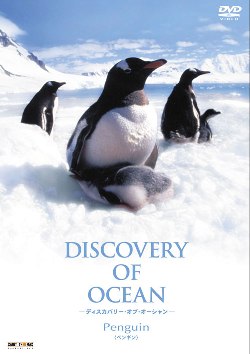 JAN 4520634511575 Discovery　of　Ocean　-ディスカバリー・オブ・オーシャン-　2/ＤＶＤ/APS-162 CD・DVD 画像