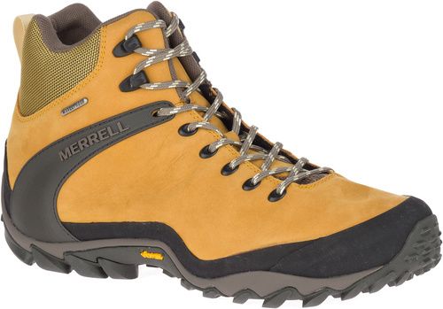 JAN 4522552295827 MERRELL/メレル CHAMELEON 8 LEATHER MIDWP 25.0cm GOLD M033443 丸紅コンシューマーブランズ株式会社 スポーツ・アウトドア 画像