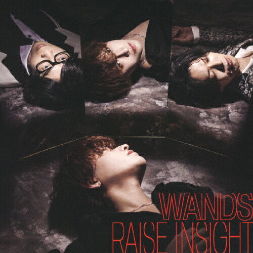 JAN 4523949108201 RAISE　INSIGHT/ＣＤシングル（１２ｃｍ）/GZCD-7014 株式会社ギザ CD・DVD 画像