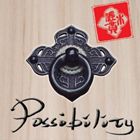 JAN 4524505304105 Possibility/ＣＤ/AKTK-001 ラッツパック・レコード株式会社 CD・DVD 画像