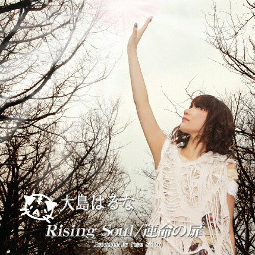 JAN 4524505314401 Rising　Soul／運命の扉/ＣＤシングル（１２ｃｍ）/AME-0001 ラッツパック・レコード株式会社 CD・DVD 画像