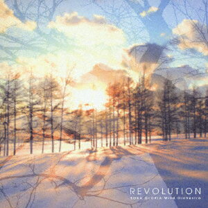 JAN 4524513000693 REVOLUTION/ＣＤ/CACG-0069 株式会社CAFUAレコード CD・DVD 画像