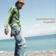 JAN 4526180016953 Beautiful day/CD/SLMN-1012 株式会社ウルトラ・ヴァイヴ CD・DVD 画像