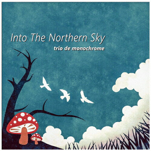 JAN 4532813843315 Into The Northern Sky/CD/NAT-0010 株式会社インパートメント CD・DVD 画像