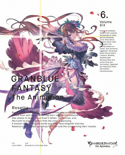 JAN 4534530102690 GRANBLUE　FANTASY　The　Animation　6（完全生産限定版）/ＤＶＤ/ANZB-11851 株式会社アニプレックス CD・DVD 画像