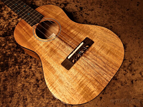 JAN 4537239601143 FUJIGEN FGN Acoustic 