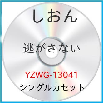 JAN 4538322001178 逃がさない c/w幾千年の彼方に シングル YZWG-13041 株式会社エイフォース・エンタテイメント CD・DVD 画像