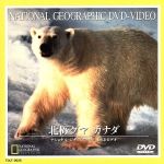 JAN 4540088000562 北極グマ　カナダ/ＤＶＤ/TDLT-0028 CD・DVD 画像