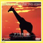 JAN 4540088001040 アフリカの掟/ＤＶＤ/TDLT-0076 CD・DVD 画像