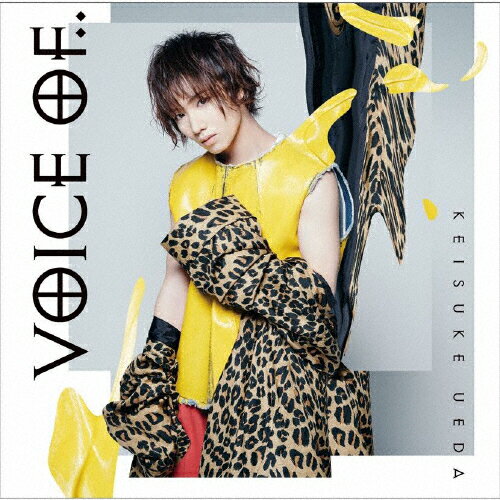 JAN 4542519013479 voice　of．．（M　ver．）/ＣＤ/YCCW-10360 株式会社ヤマハミュージックコミュニケーションズ CD・DVD 画像