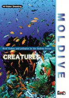 JAN 4547770005089 Moldive The Creatures: インド洋の真珠モルジブ: クリーチャーズ 日本メディアサプライ株式会社 CD・DVD 画像