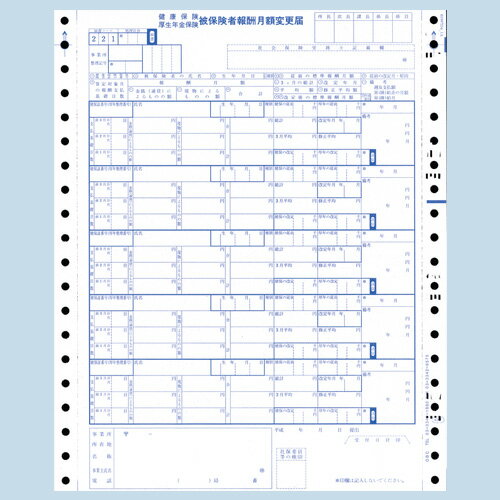 JAN 4549903047324 オービックビジネスコンサルタント 被保険者月額変更届 09-SP5063 株式会社オービックビジネスコンサルタント パソコン・周辺機器 画像