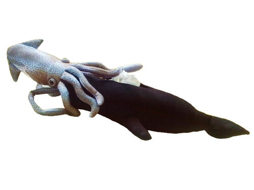 JAN 4560113652276 アドベンチャーシリーズ ダイオウイカVSマッコウクジラ ポケットティッシュケース サンライズ 株式会社サンライズ おもちゃ 画像