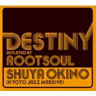 JAN 4560124801908 DESTINY replayed by ROOT SOUL/CD/ZLCP-0147 有限会社ヴィレッジアゲインアソシエイション CD・DVD 画像