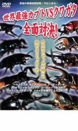 JAN 4560161570423 カルメン 生リングィーネ&鮭のクリームソース 400g 横浜パスタ株式会社 CD・DVD 画像