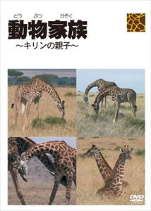 JAN 4560184800026 動物家族～アフリカ編～キリン CD・DVD 画像