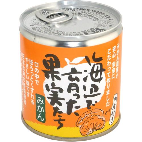 JAN 4560203380089 海辺で育った果実たち みかん 缶詰(295g) 有限会社いのうえ果樹園 食品 画像