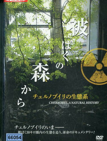 JAN 4560245141259 被ばくの森から～チェルノブイリの生態系～ 洋画 AAC-2026R 株式会社アクセスエー CD・DVD 画像