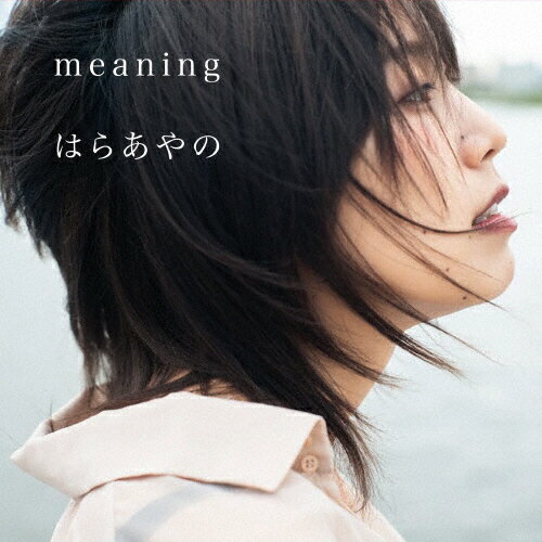 JAN 4560263581631 meaning/ＣＤシングル（１２ｃｍ）/TCA-115 CD・DVD 画像