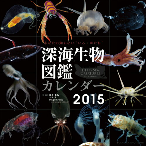 JAN 4560298120102 深海生物図鑑 2015年カレンダー 日宣テクノ・コムズ株式会社 本・雑誌・コミック 画像