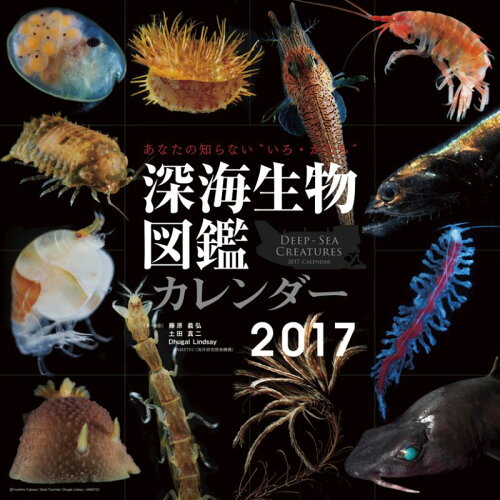 JAN 4560298120140 2017年カレンダー / 深海生物図鑑 日宣テクノ・コムズ株式会社 本・雑誌・コミック 画像