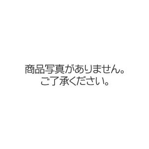 JAN 4560374960080 キャノン用詰め替えインク bci-321bk対応 ブラック 黒   器具付  有限会社ゼクーコーポレーション パソコン・周辺機器 画像