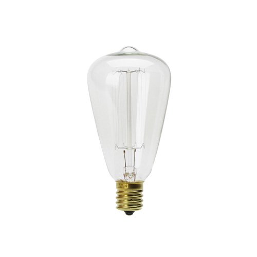 JAN 4560445372620 照明 電球   エジソン バルブ EDISON BULB E17(Signature) 株式会社ディテール インテリア・寝具・収納 画像