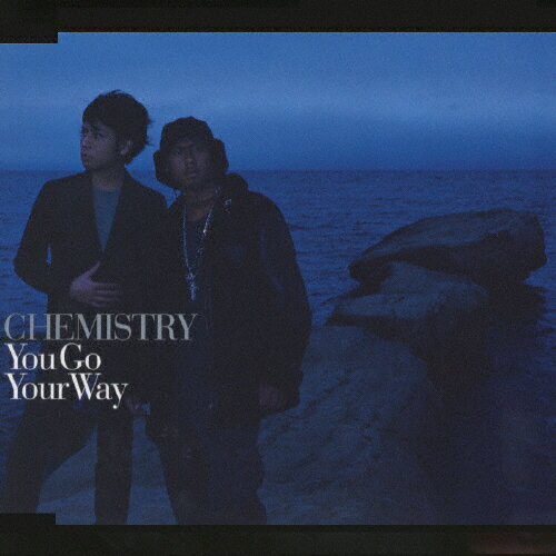 JAN 4562104040017 You　Go　Your　Way/ＣＤシングル（１２ｃｍ）/DFCL-1051 株式会社ソニー・ミュージックレーベルズ CD・DVD 画像