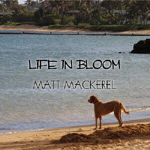 JAN 4562134570294 LIFE　IN　BLOOM/ＣＤ/YYCF-125 有限会社ニュートラックス CD・DVD 画像