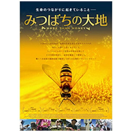 JAN 4562166272470 みつばちの大地/ＤＶＤ/TOBA-0129 株式会社TOブックス CD・DVD 画像