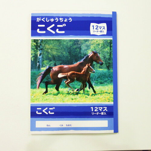 JAN 4562194058763 SFJ こくご12マス 500-2430 株式会社サンフレイムジャパン 日用品雑貨・文房具・手芸 画像