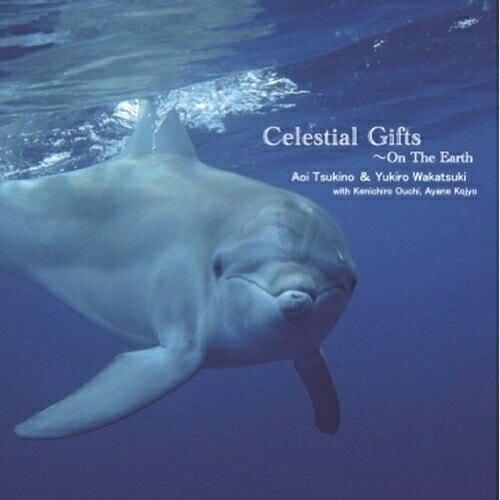 JAN 4562243311108 Celestial　Gifts～On　The　Earth/ＣＤ/BMPT-0017 株式会社ビッグメイドミュージック CD・DVD 画像