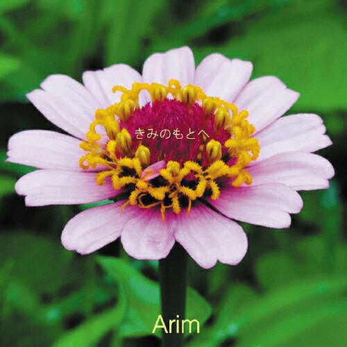 JAN 4562265499549 きみのもとへ/ＣＤ/ARIM-0001 株式会社スリーエムズ CD・DVD 画像