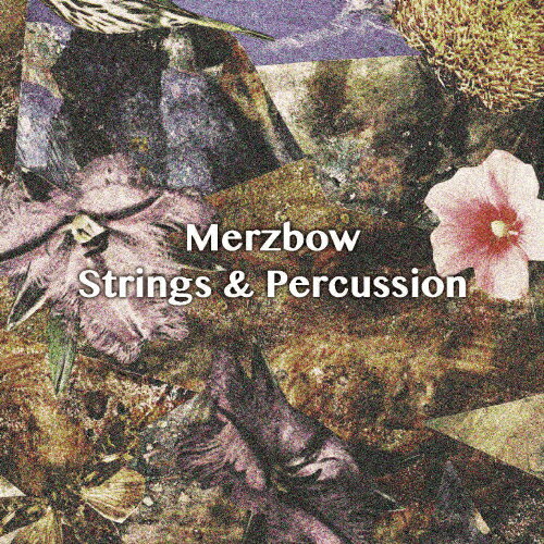 JAN 4562293382981 Strings　＆　Percussion（6CD　BOX）/ＣＤ/SDRSW-75 株式会社スタジオワープ CD・DVD 画像