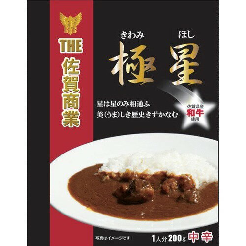 JAN 4562295494941 佐賀商業高校 極星カレー 中辛(200g) 株式会社はかた本舗 食品 画像