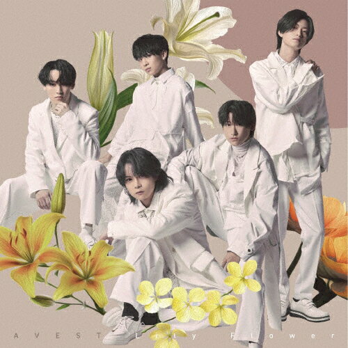 JAN 4562350605763 Lily　Flower＜Type-B＞/ＣＤシングル（１２ｃｍ）/QARF-69149 株式会社ブートロック CD・DVD 画像