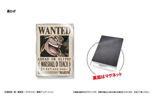 JAN 4562378262306 ONE PIECE アクリル手配書マグネット Vol.2 黒ひげ タピオカ 株式会社ジャングルジャム ホビー 画像