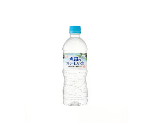 JAN 4562403557704 アイリスフーズ 魚沼のおいしい水 540ml アイリスフーズ株式会社 水・ソフトドリンク 画像