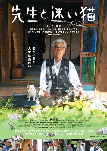 JAN 4562474171991 先生と迷い猫　Blu-ray　豪華版/Ｂｌｕ－ｒａｙ　Ｄｉｓｃ/TCBD-0531 TCエンタテインメント株式会社 CD・DVD 画像