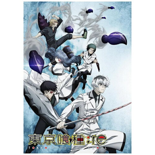 JAN 4562474195126 東京喰種トーキョーグール：re【DVD】Vol．6/ＤＶＤ/TCED-4058 TCエンタテインメント株式会社 CD・DVD 画像