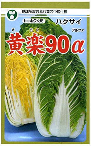 JAN 4562499770902 トーホク F1黄楽90α白菜 2ml THK-770902 平城商事株式会社 花・ガーデン・DIY 画像