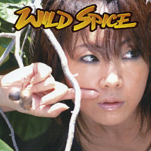 JAN 4571192980136 WILD　SPICE/ＣＤシングル（１２ｃｍ）/EVCS-0008 株式会社ドワンゴ CD・DVD 画像