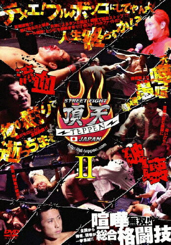 JAN 4571211602650 STREET FIGHT 頂点〓 TEPPEN JAPAN 邦画 DMG-8265 株式会社オールインエンタテインメント CD・DVD 画像