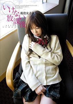 JAN 4571217864038 いけない放課後 ～現役女子高生～ 株式会社グラフィス CD・DVD 画像